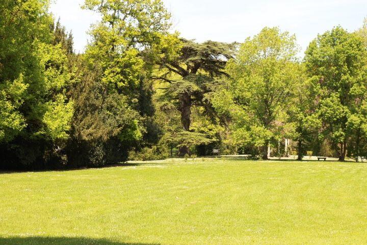 Chateau Castelrives Bessieres ภายนอก รูปภาพ