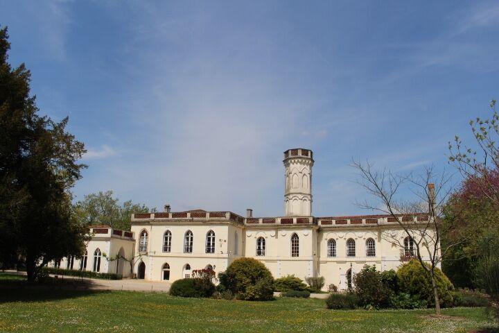 Chateau Castelrives Bessieres ภายนอก รูปภาพ